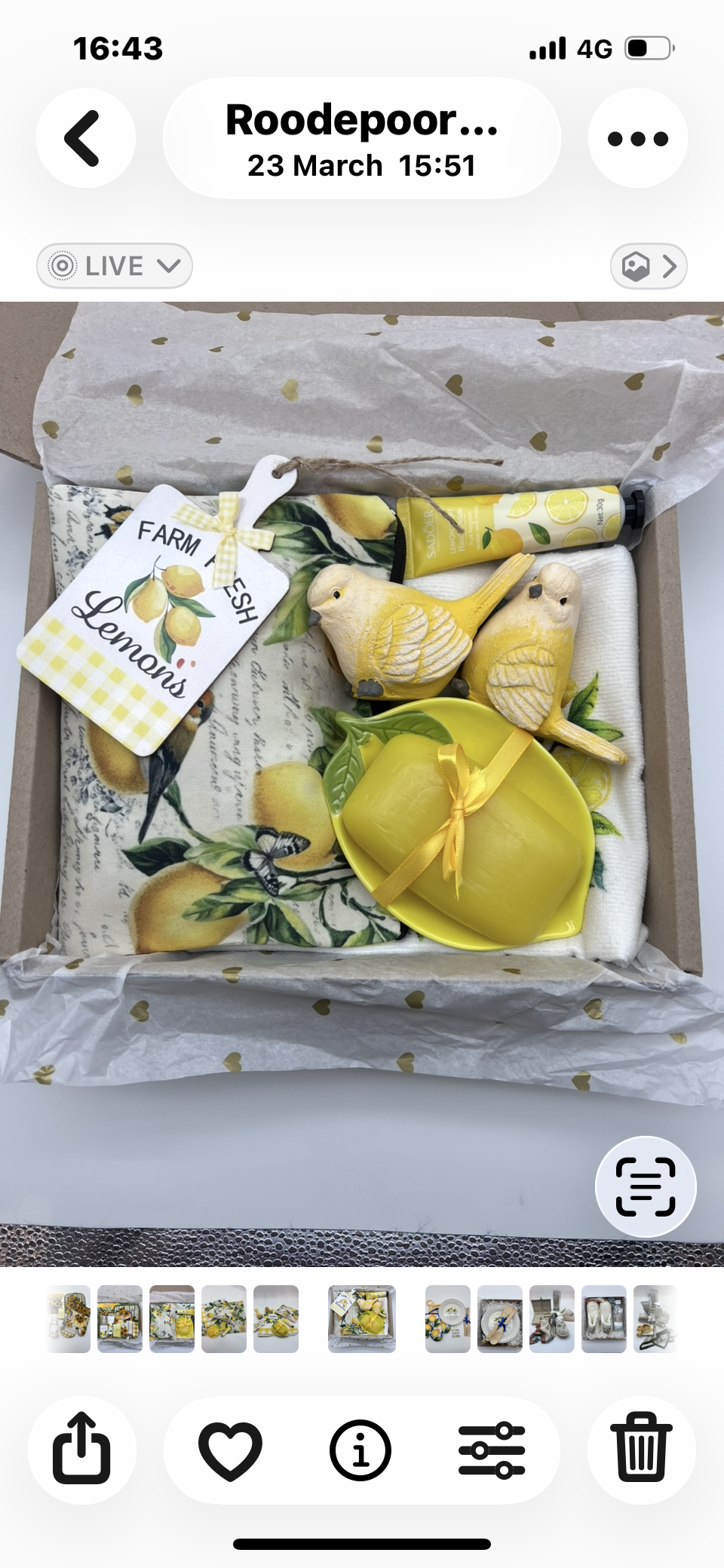 51. Lemon fresh. - Granny B's Old Fashioned Paint