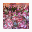 Protea Bloom' by Anna Kristina Decor Tissue - Granny B's Old Fashioned Paint